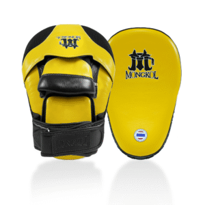 Focus Mitts Training Pads
